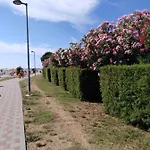 Ana *
