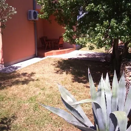 Apartment Ana *